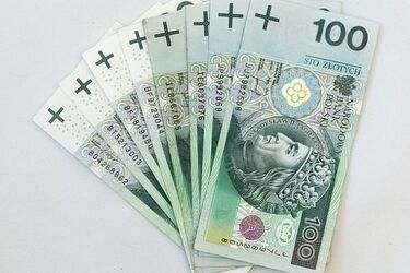 Z igły zrobiono widły, czyli wieloletni proces z powodu dotacji