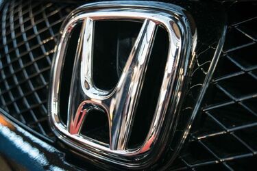 Zielone Wzgórza. Nie miał powodu, ale kopał i niszczył