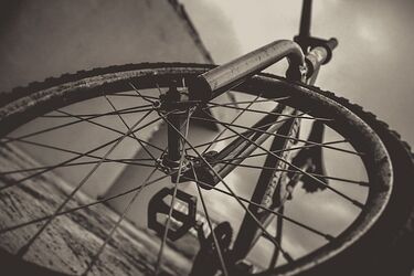 Czy ktoś widział to potrącenie? Poszukiwani są świadkowie