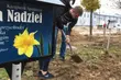 Podlaskie Pola Nadziei obrodziły. Zebrano ponad 200 tys. zł
