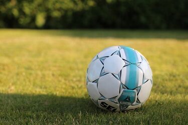 Jagiellonia i inne dyscypliny. Miasto rozdało pieniądze na sport