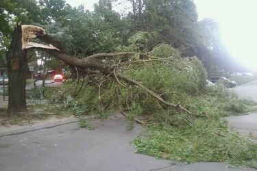 Burza szalała nad województwem. Zerwane dachy, połamane drzewa, setki interwencji