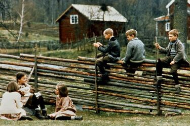 Filmy dla dzieci. Wstęp jest wolny