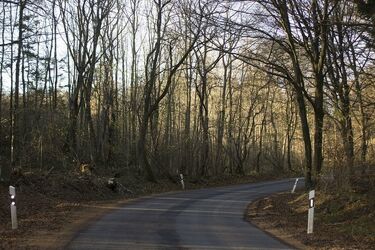 Lasy Państwowe za asfalt płacą. Powiat hajnowski dostanie duże pieniądze na budowę dróg