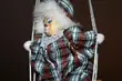 Clown Pinezka zaprasza na marionetkowe show do białostockiej galerii