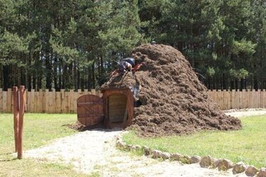 Baśniowy szlak i Kraina Otwartych Okiennic walczą o tytuł "Nowych Cudów Polski"