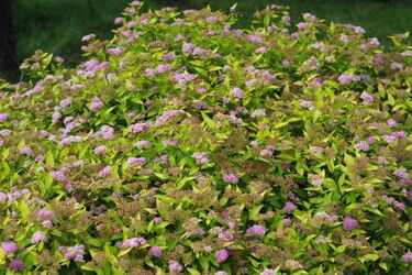 Dziś termometry wskażą 26°C