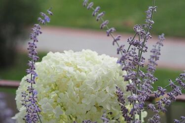 To będzie kolejny ciepły dzień