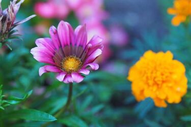 Czeka nas kolejny ciepły dzień