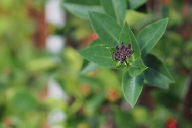 Wtorek będzie słoneczny