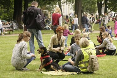 Psy ze schroniska wezmą udział w Podlaskim Śniadaniu Mistrzów. Może znajdą tam właścicieli