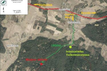 Nocne Leśne Misteria. Spacer po lesie i wspólne ognisko