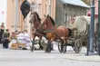 Rekonstrukcja bitwy białostockiej. Potyczka w centrum miasta