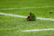 Podlaski futbol. Gra Saltex IV liga i KOS. Wyniki weekendowych spotkań