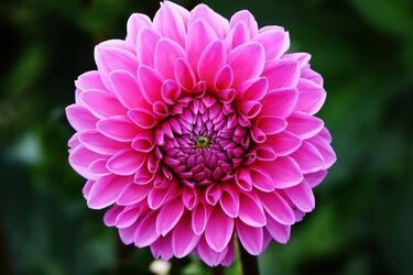 Sobota i niedziela - dwa pochmurne dni