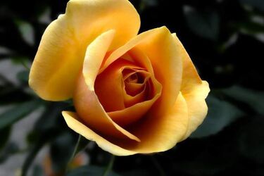 Czeka nas pochmurny piątek