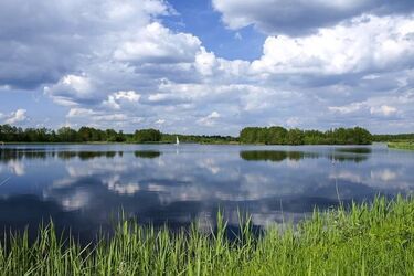 Wojewódzkie mistrzostwa. W szranki staną strażacy-płetwonurkowie