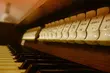 Festiwal Muzyki Organowej i Kameralnej w Wasilkowie. Na koncerty wstęp jest wolny