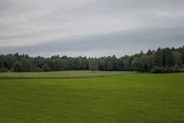 Pochmurny początek tygodnia. Będzie też padać