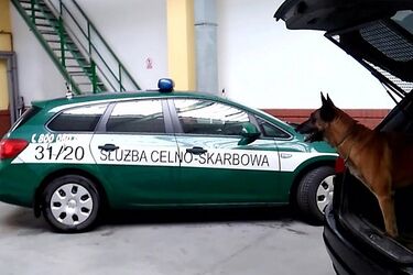 Rekordowy przemyt za 6,5 mln zł udaremniony. Pomógł funkcjonariusz na czterech łapach
