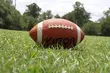 Juniorzy Lowlanders Białystok rozpoczynają bój w PLFA J-11