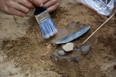 Archeolodzy odkrywają tajemnice Puszczy Białowieskiej