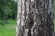Chłodny wstęp do weekendu