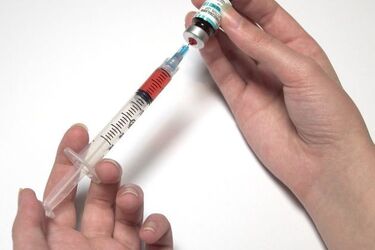 Stolica Podlasia z nagrodą za zapobieganie grypie