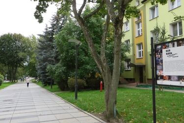 6 nowych tabliczek odsłonięto w Alei Bluesa