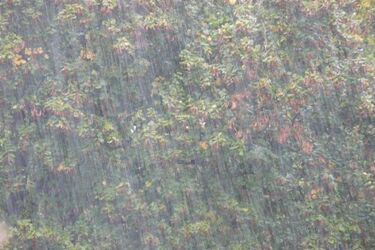 Wiatr i deszcz szaleją w województwie. Strażacy mają sporo pracy