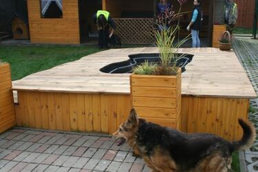 Eksperymentalny wybieg przypominający dom. Nowa inwestycja w białostockim schronisku