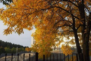 To będzie pogodny wtorek