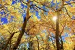 W czwartek temperatura wyniesie 13°C