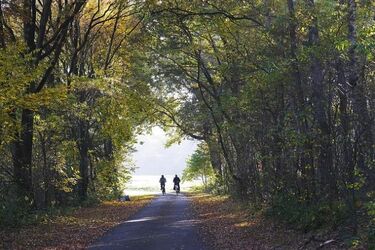 "August Velo" oraz międzynarodowy szlak wodny. Władze podpisały porozumienie