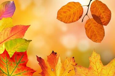 Korzystajmy z pogody. Synoptycy zapowiadają bezchmurny weekend