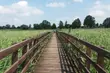 Popularna atrakcja nieczynna. Kładka Śliwno-Waniewo jest w remoncie