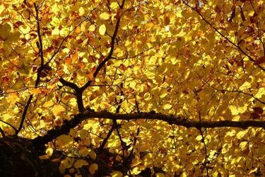 Przed nami ciepły dzień