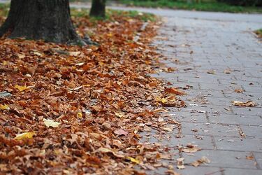 To będzie kolejny dość ciepły dzień