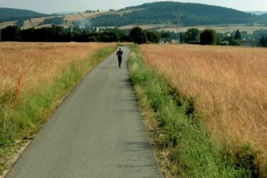 Nowe filmy w kinie Forum. Na co się wybrać? [WIDEO]