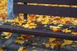 Pogoda w weekend nie będzie nas rozpieszczać