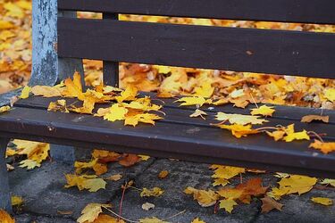 Pogoda w weekend nie będzie nas rozpieszczać