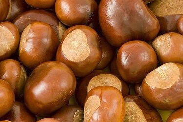 5°C i zachmurzone niebo