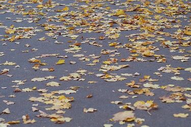 Będzie wietrznie i deszczowo