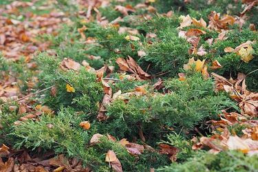 Termometry wskażą 10°C