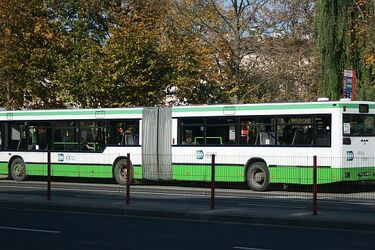 1 listopada autobusem jeździmy za darmo. Będą też dodatkowe linie