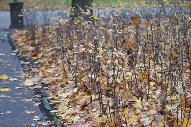 Będzie nam dokuczać porywisty wiatr