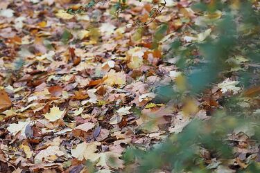 To będzie deszczowy czwartek