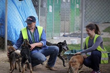 Wolontariat daje wiele satysfakcji. Białostockie schronisko rusza z kolejnym naborem