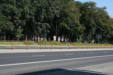17. Bieg Niepodległości - część ulic będzie zamknięta