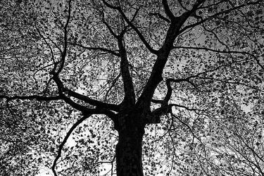 Silny wiatr i pochmurne niebo